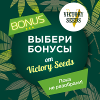 БОНУСЫ Victory Seeds